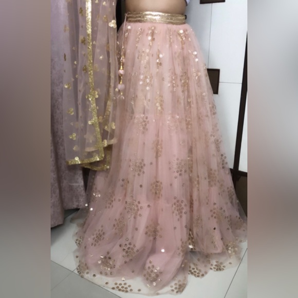 Light pink royal extremely heavy lehenga! - Picture 5 of 11